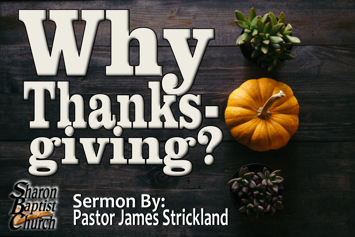 Why Thanksgiving - Sermon Cover art
